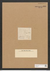 Schizonema ramosissimum Ag. (de-Toni-Nr.: Genus 20, Species 1187) Zeichnungen Sammlung Grunow Nr. 2286 (NHMW-BOT-W0369406)